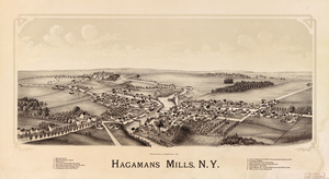 Hagamans Mills, N.Y. LOC 2007630647