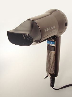 Hairdryer 20101109