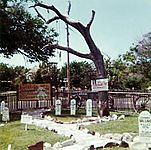 Hanging Tree at Dodge City (color print)