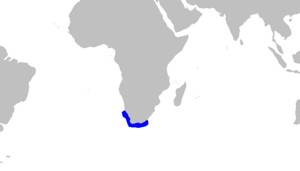 Haploblepharus pictus distmap.png