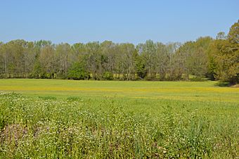 Harper Road field fortifications.jpg