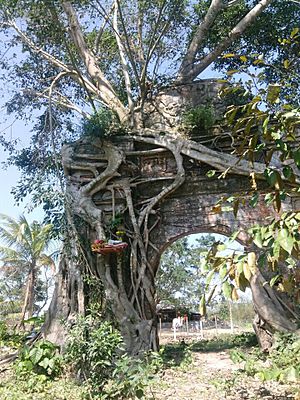 HoangPhucPagoda3