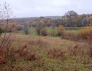 Inholms Clay Pit (3).jpg