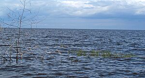 Lake Okeechobee, from Canal Point