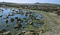 Lihou causeway - geograph.ci - 137