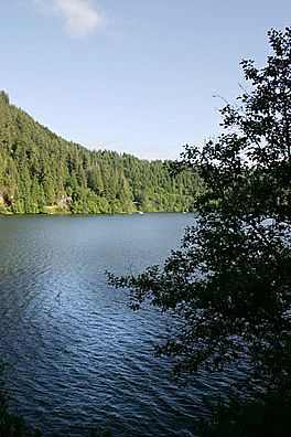 LoonLake-scenic-1.jpg