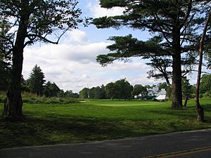 Merion 1