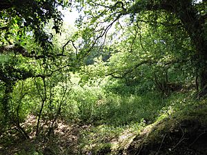 Neutral Farm Pit, Butley 4.jpg