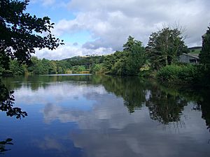 Old Wheel Dam, Loxley