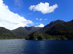 Resolution Island Fiordland New Zealand Aotearoa