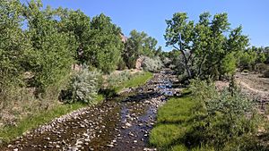 Rio Ojo Caliente