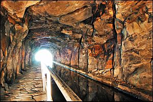 Scout tunnel - geograph.org.uk - 1437691