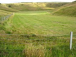 Scratchy bottom dorset