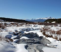 Tennessee Creek.JPG