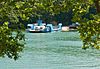 The Fal chain ferry at Trelissick - geograph.org.uk - 1660080.jpg