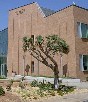 UCR Bio Sci Landscaping