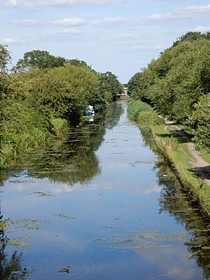 Yiewsley Slough Arm Trout Lane 1