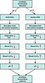 2714 Respiratory Regulation of Blood