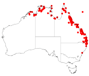 Acacia aulacocarpaDistMap82.png