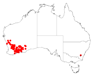 Acacia chrysellaDistMap184.png