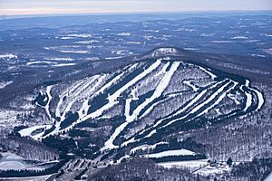 Aerial view of the mountain