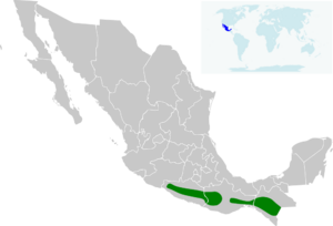 Amazilia viridifrons map2.svg