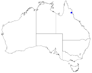 Boronia excelsa DistMap39.png