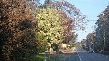 Burnttree Campvale 02 20131020.jpg