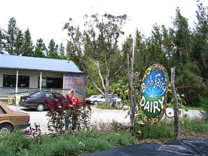 The Bush Fairy Dairy at Peria