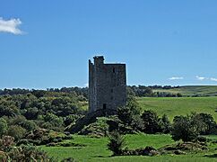 Carrigaphooca Castle - geograph.org.uk - 538454