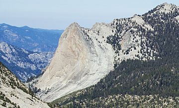 Charlotte Dome (cropped).jpg