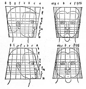 Durer face transforms