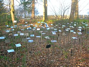 Environmental Art Balloch