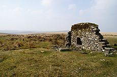 Eylesbarrow remains.JPG