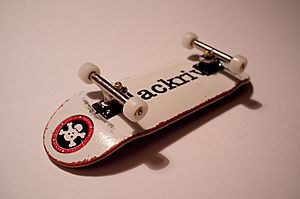 Fingerboard-Setup