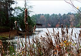 Hickory Hills Lake Cattails.jpg