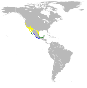 Icterus cucullatus map.svg