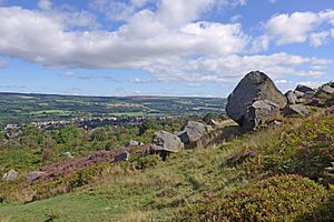 Ilkley Moor (29215324042)