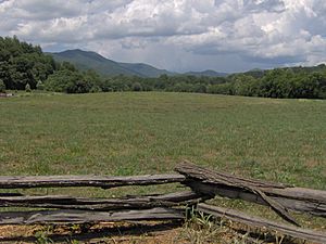 Kittuwa-mound-cherokee-nc1