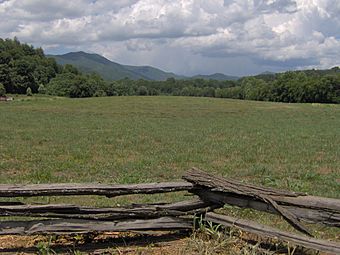 Kittuwa-mound-cherokee-nc1.jpg