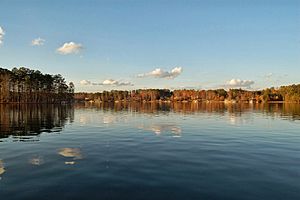 Lake Spivey shoreline 2012