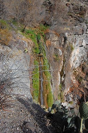 Madrid Falls Texas