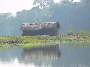 Majuli Island (80)