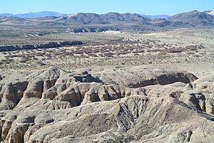 Mojave River 031013