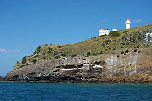 NZL-otago-peninsula-tairoa-head