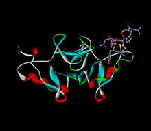 Oxytocin-neurophysin