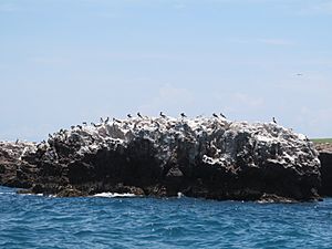 Parque Nacional Islas Marietas (9375309250)