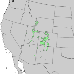 Picea pungens range map.png