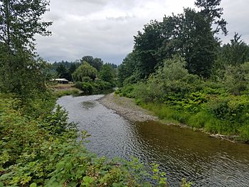 Pilchuck River near Machias.jpg