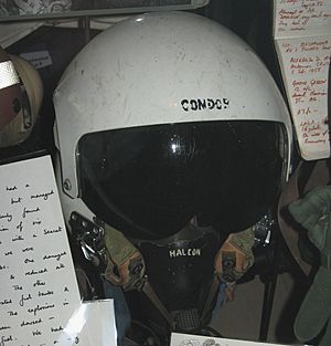 Pucara Helmet